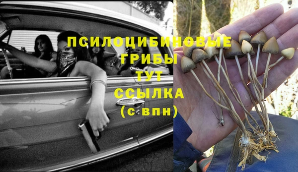 шишки Абинск