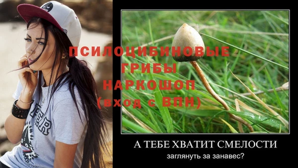 mix Абаза