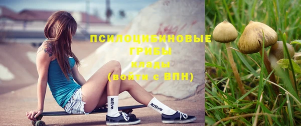 шишки Абинск